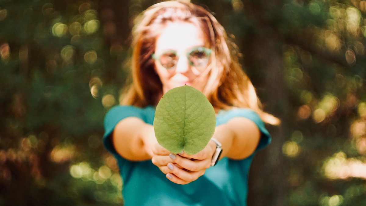 Quelles études pour travailler dans le développement durable ?